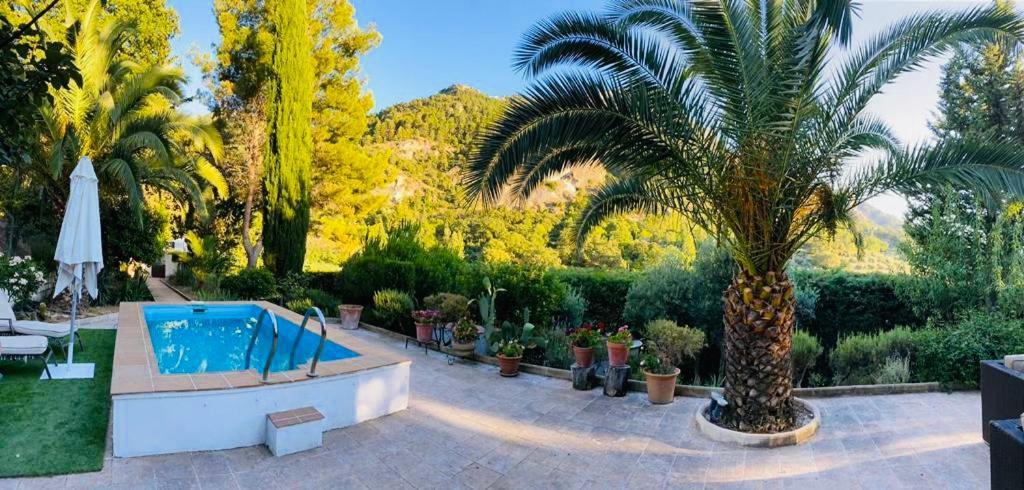 Nueva Cazorla Mirador Cerro Del Escribano Villa La Iruela Buitenkant foto