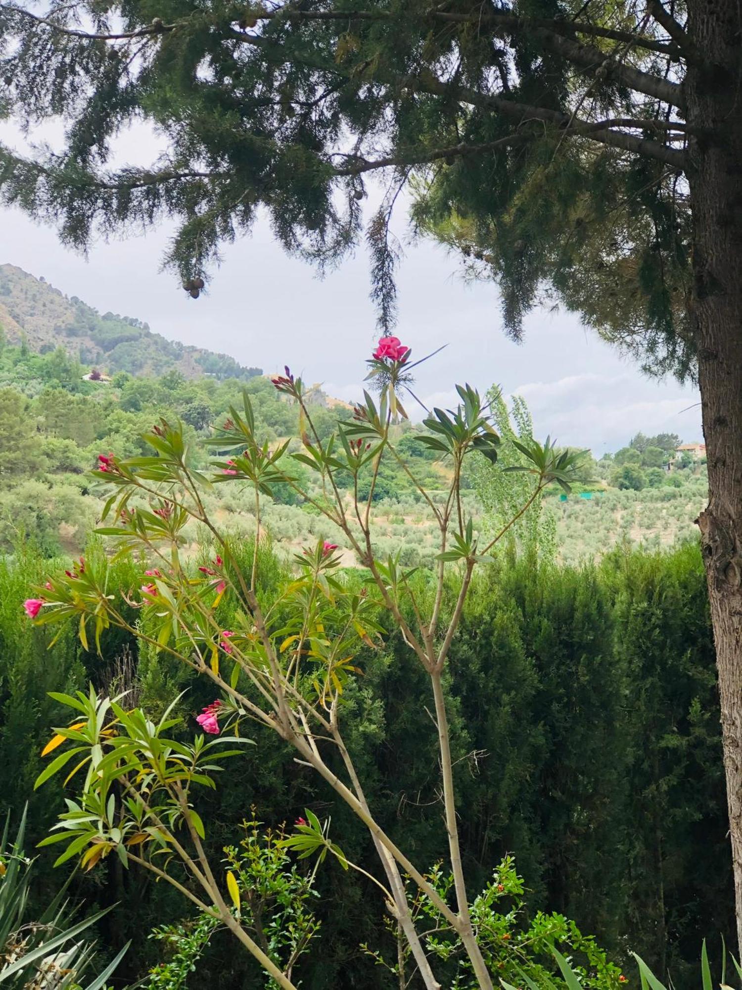 Nueva Cazorla Mirador Cerro Del Escribano Villa La Iruela Buitenkant foto