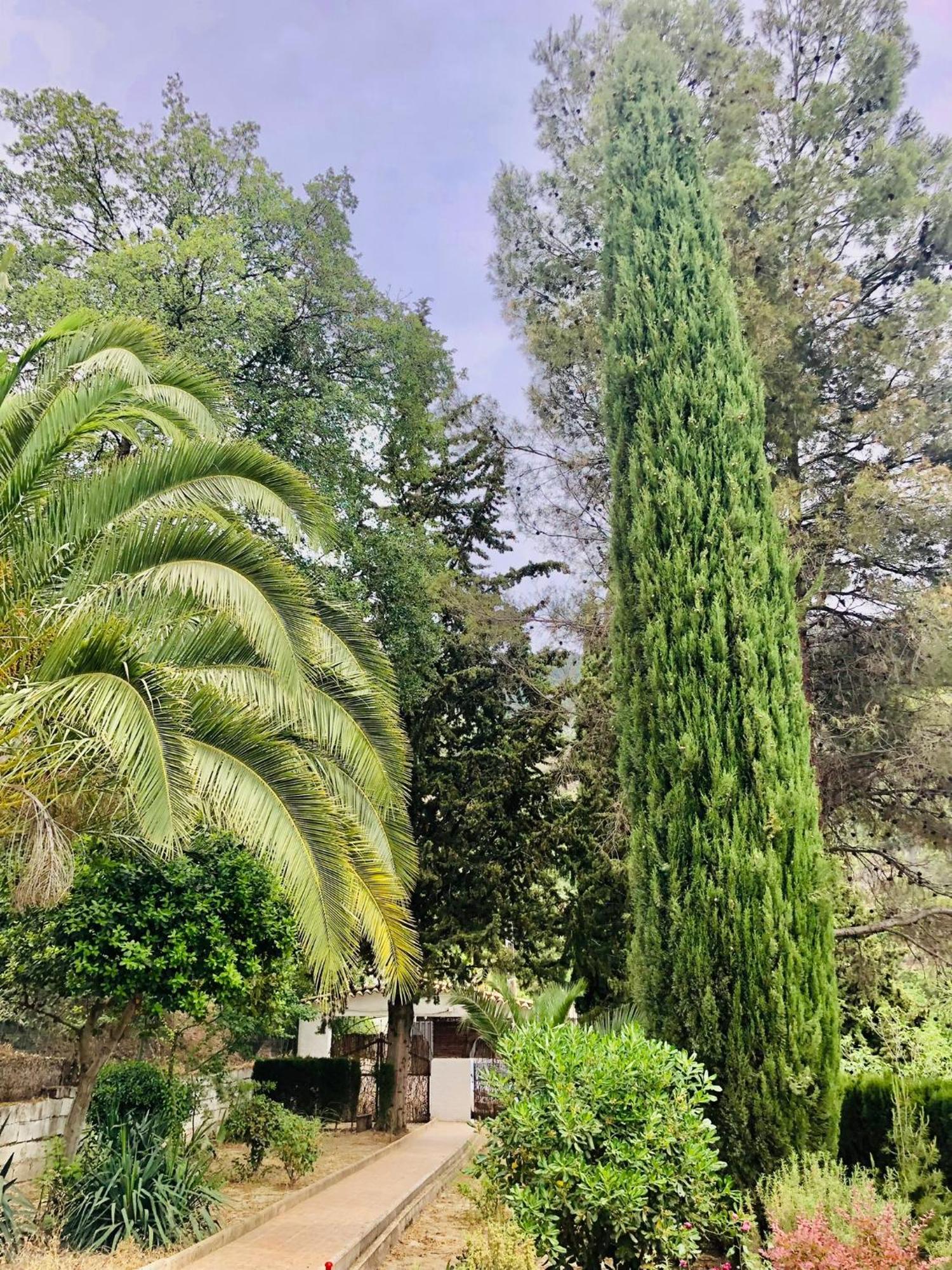 Nueva Cazorla Mirador Cerro Del Escribano Villa La Iruela Buitenkant foto